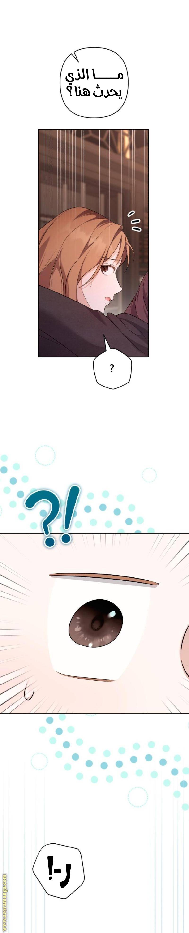 الصفحة 25