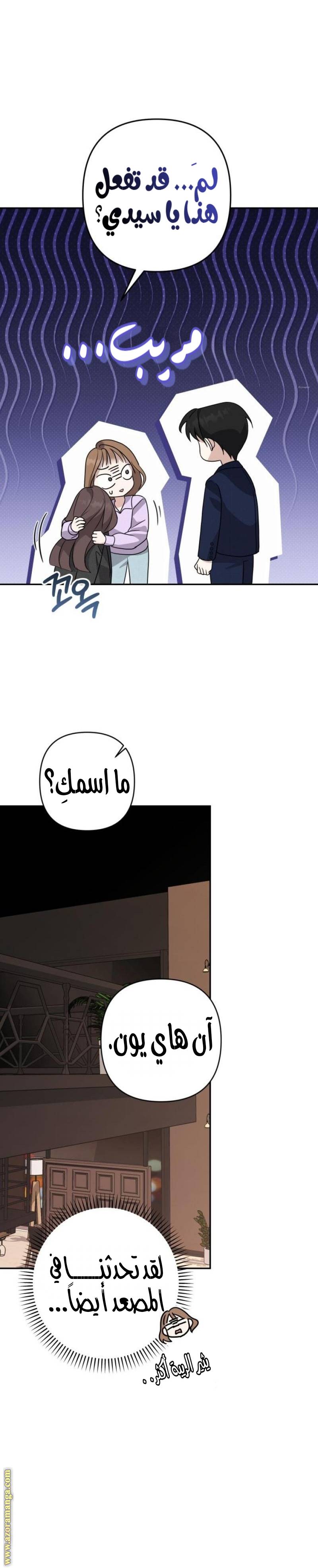 الصفحة 28
