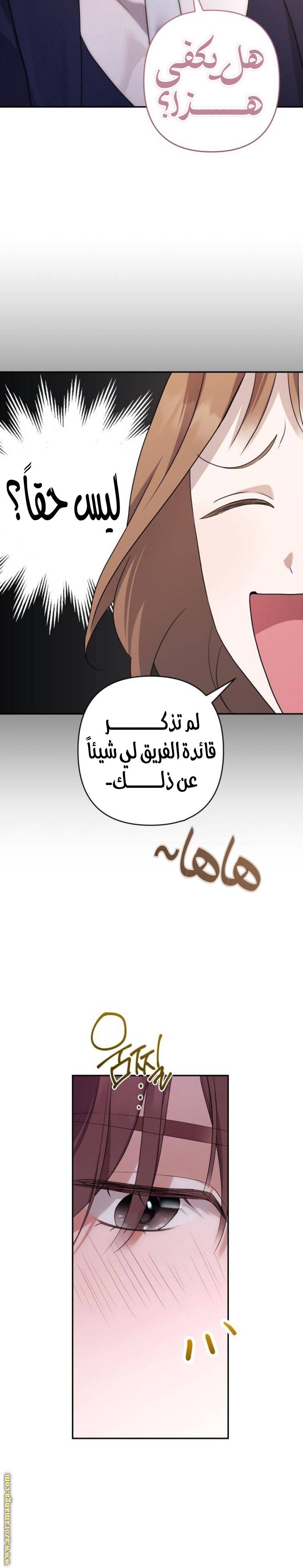 الصفحة 30