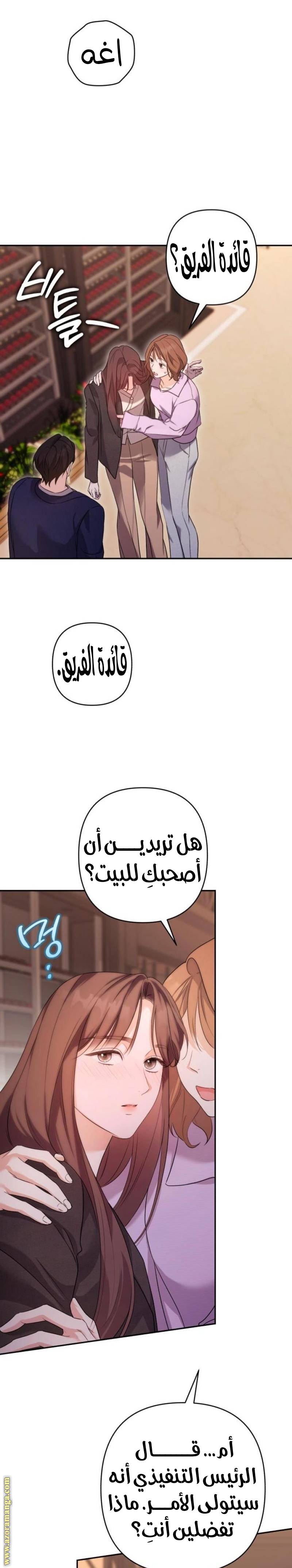 الصفحة 31
