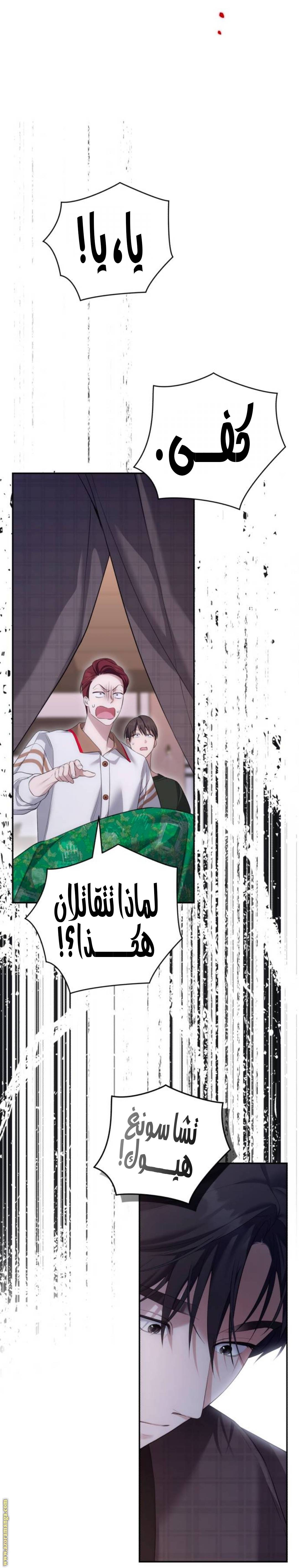 الصفحة 12