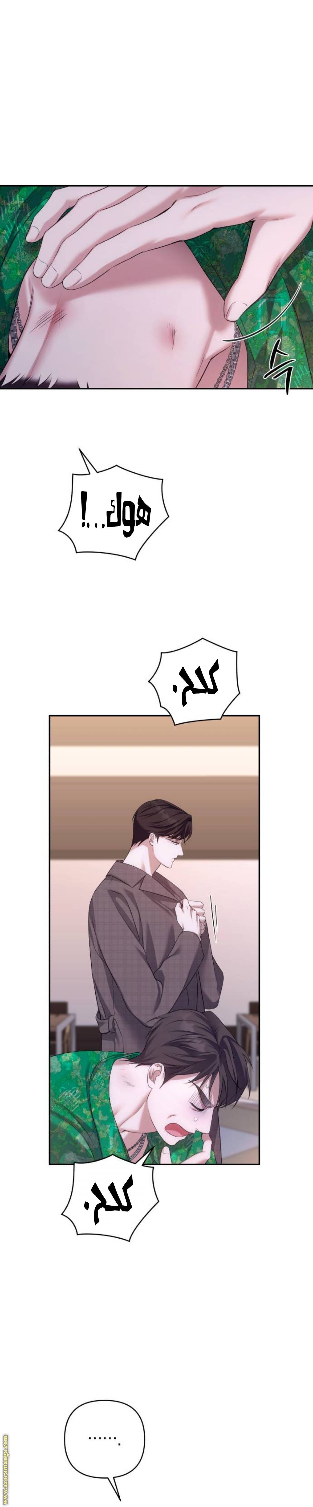 الصفحة 13