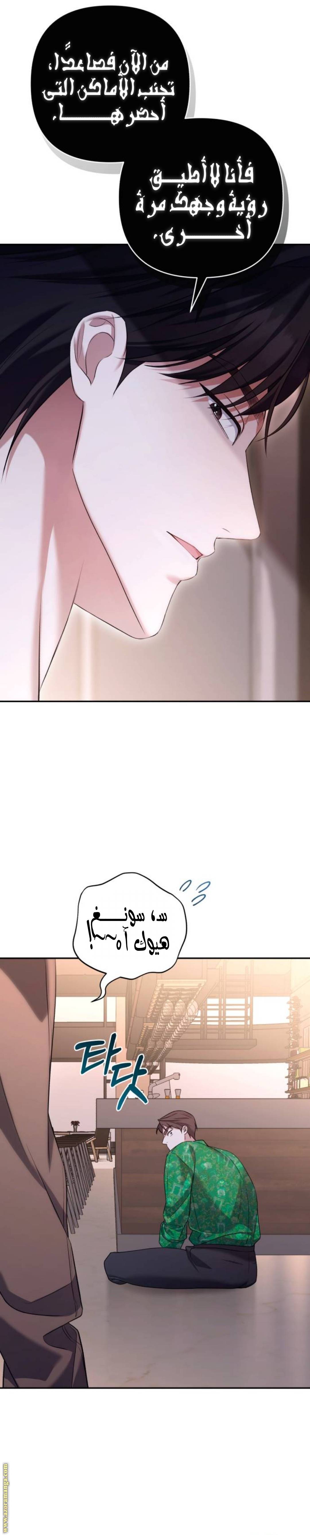 الصفحة 17