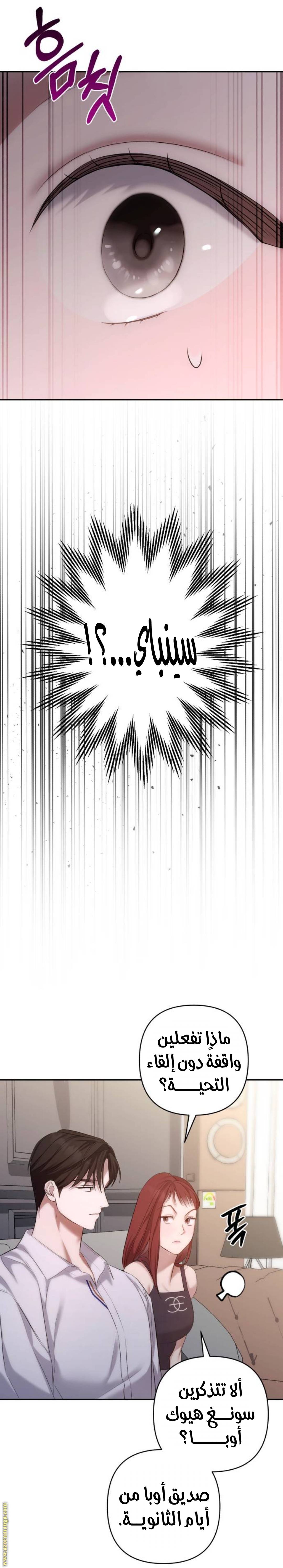 الصفحة 26