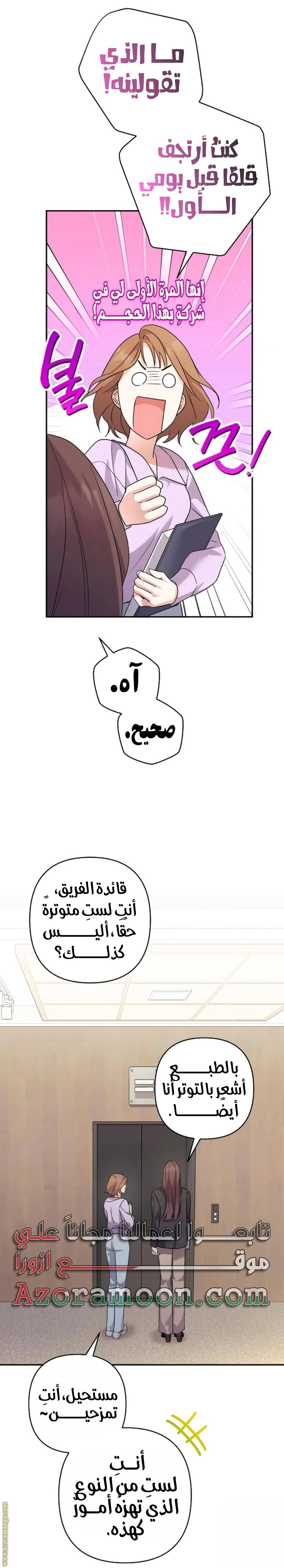 الصفحة 27