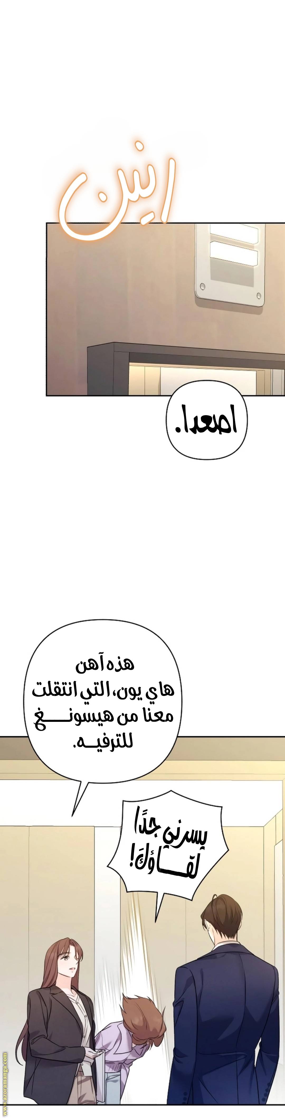 الصفحة 31
