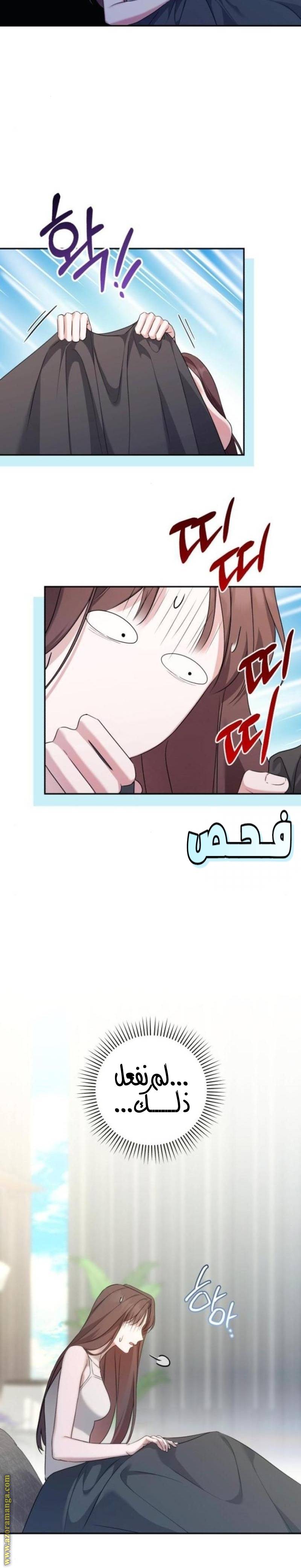 الصفحة 24