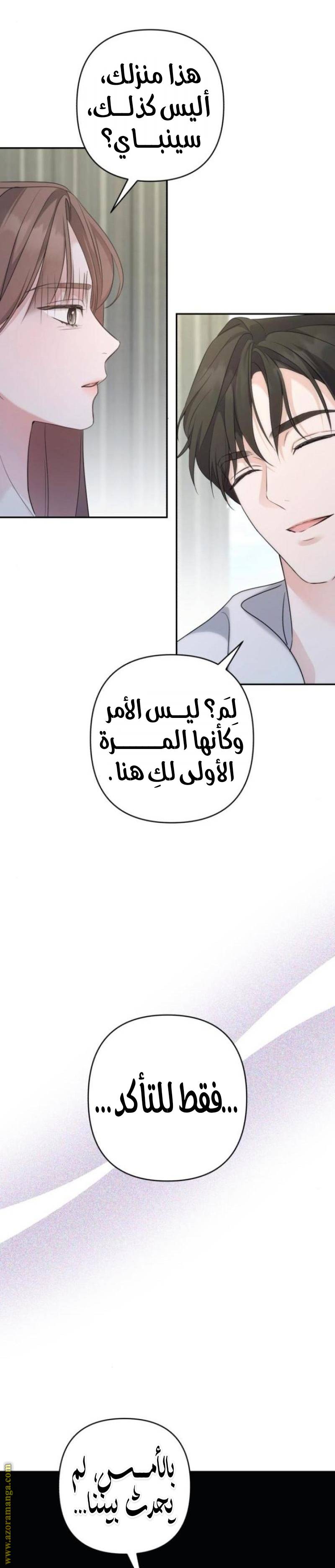 الصفحة 27