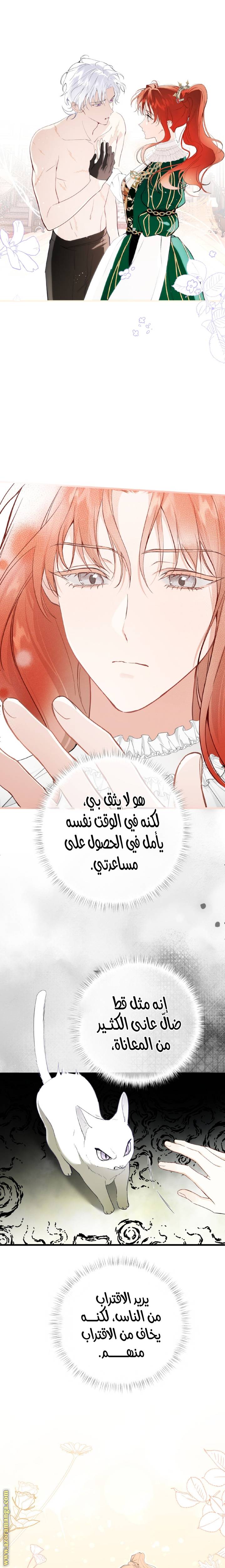 الصفحة 11