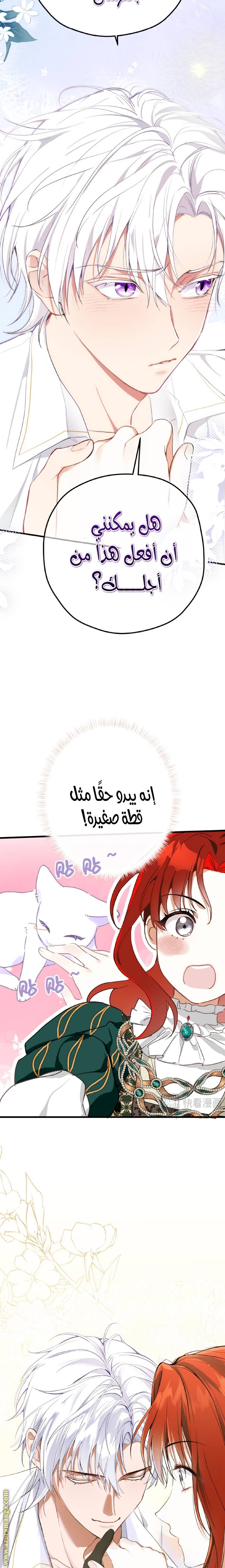 الصفحة 16