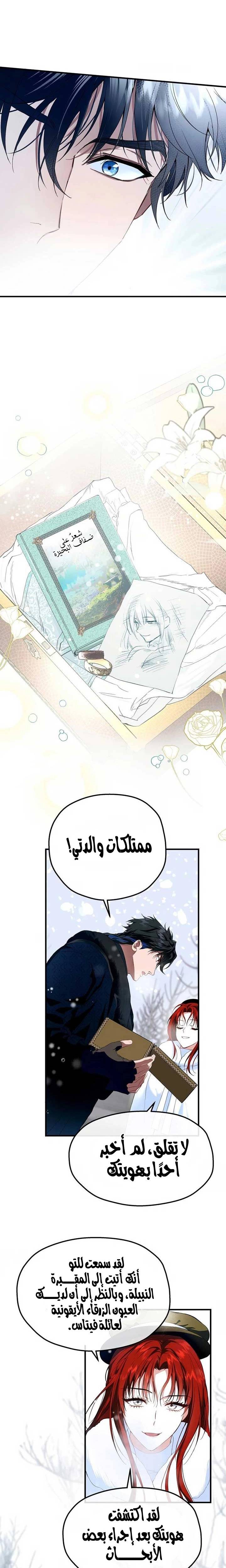 الصفحة 13