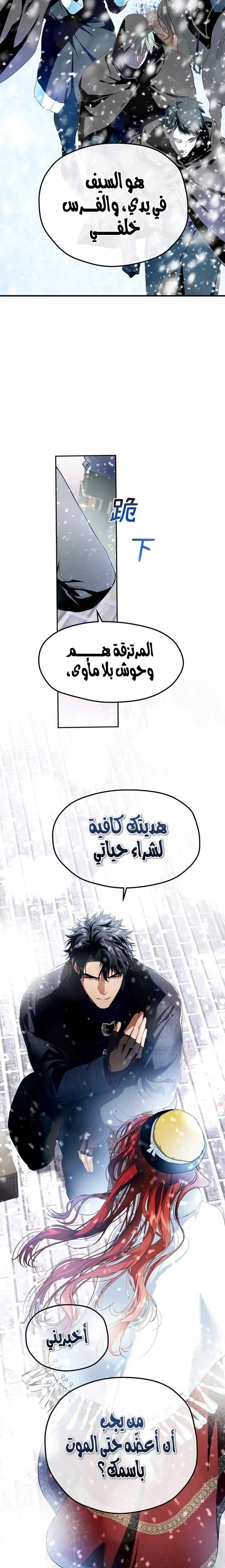الصفحة 16