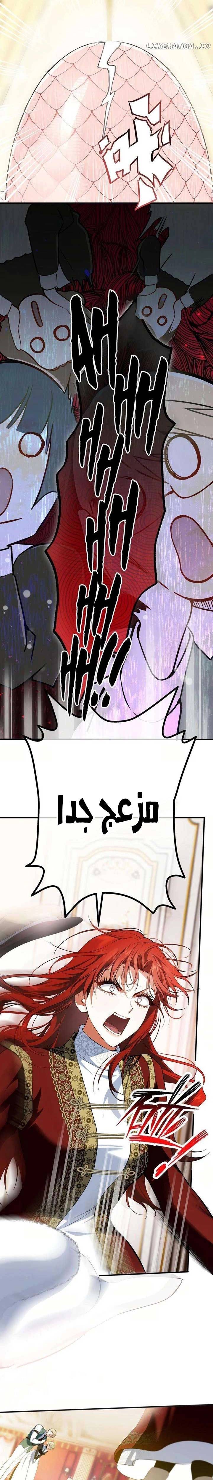الصفحة 13