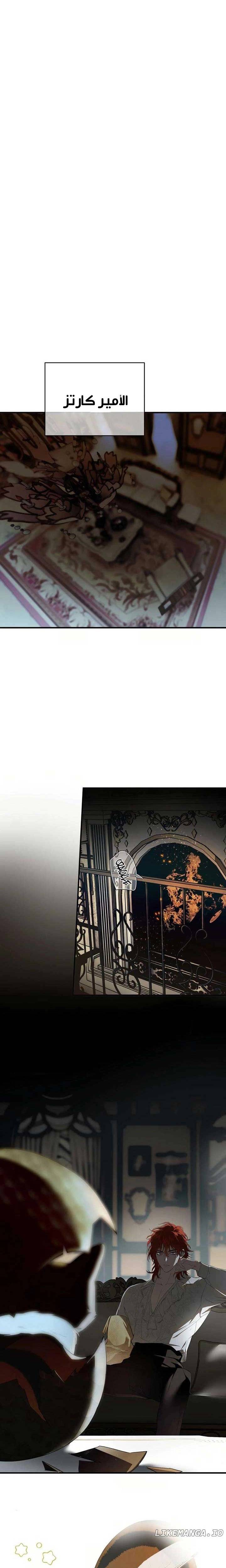الصفحة 17