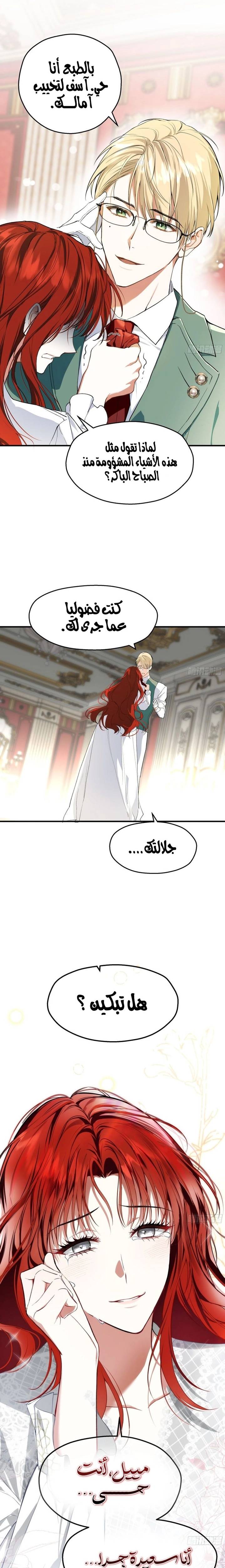 الصفحة 17