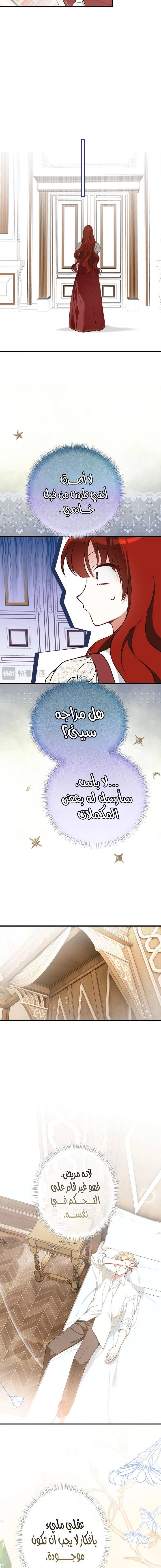 الصفحة 11