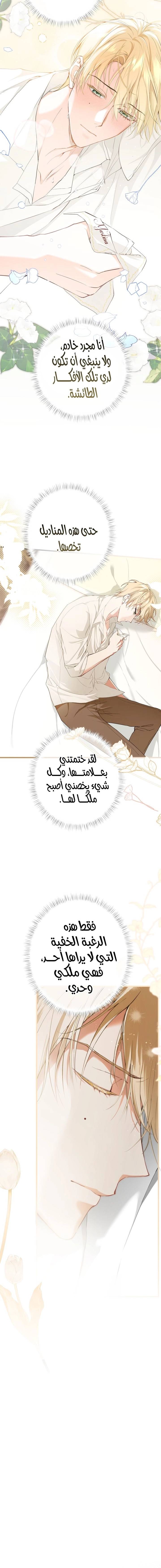 الصفحة 12