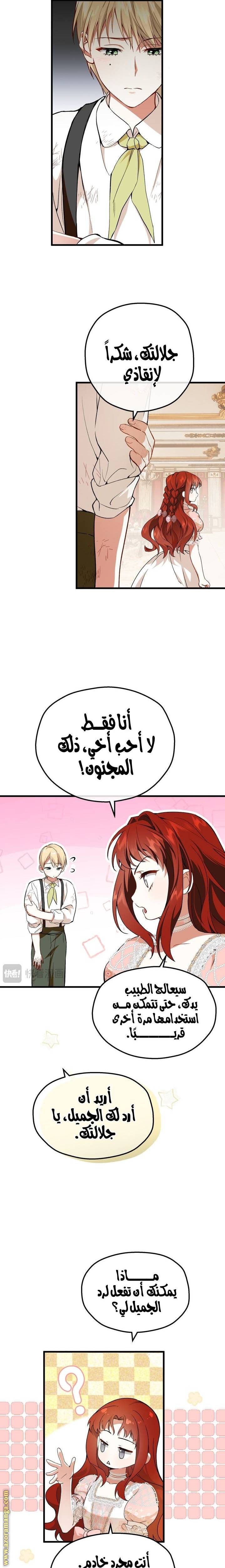 الصفحة 19