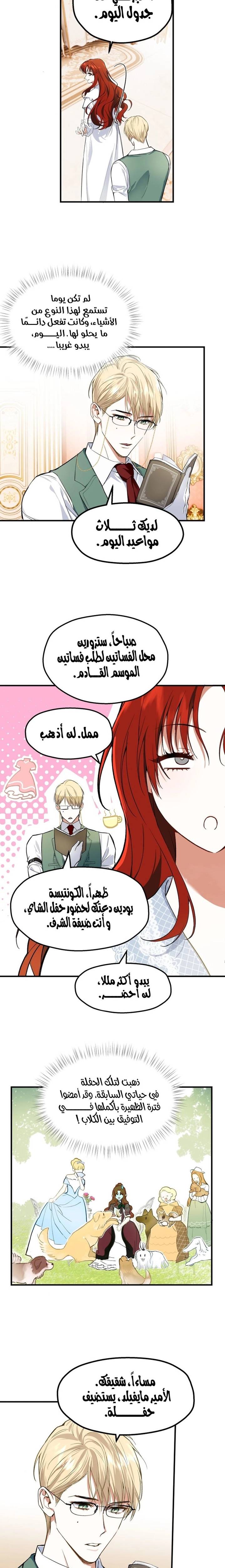 الصفحة 5