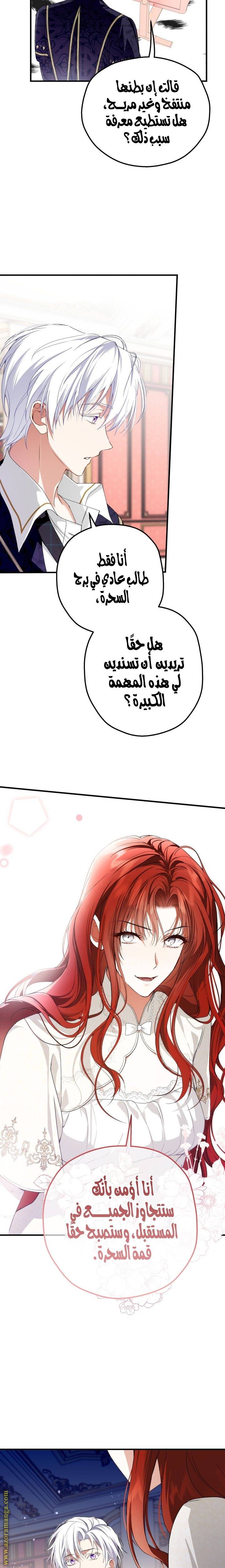 الصفحة 19