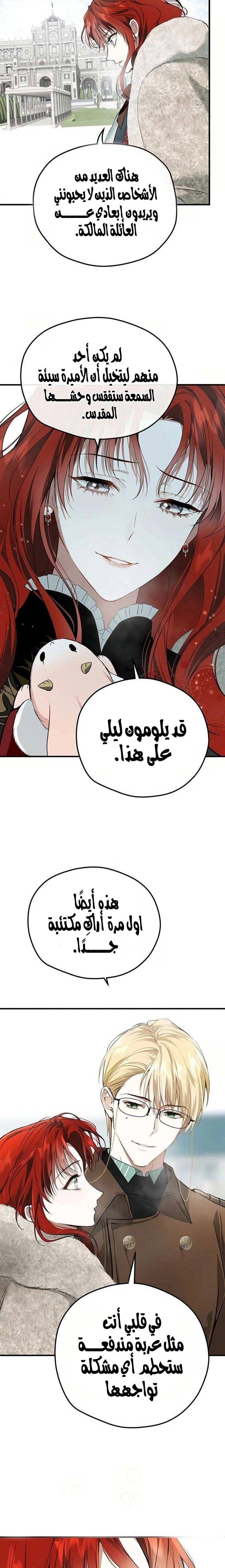 الصفحة 17