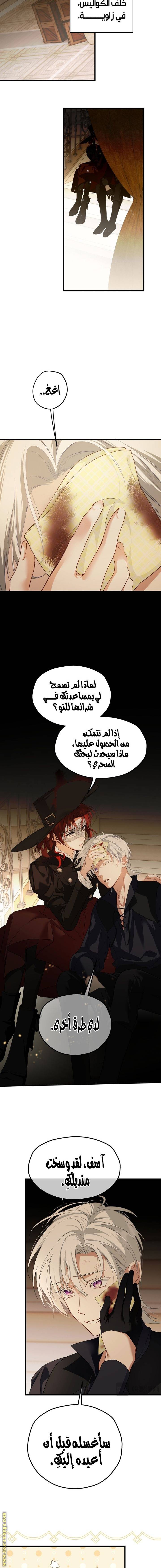الصفحة 11