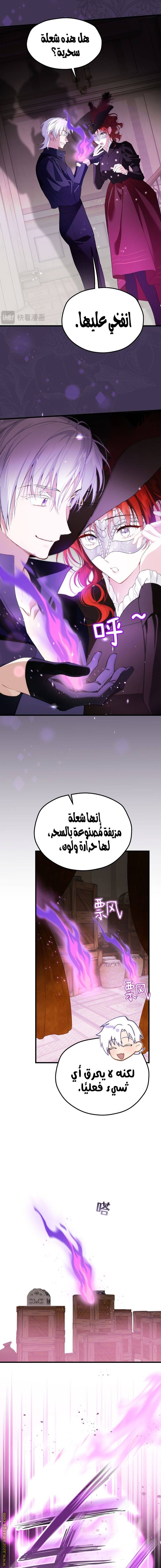الصفحة 13