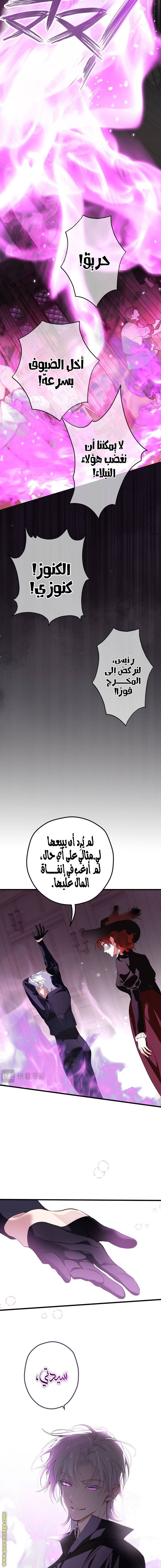 الصفحة 14