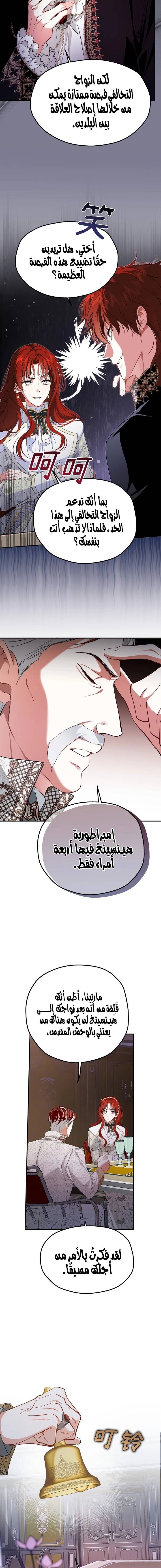 الصفحة 13