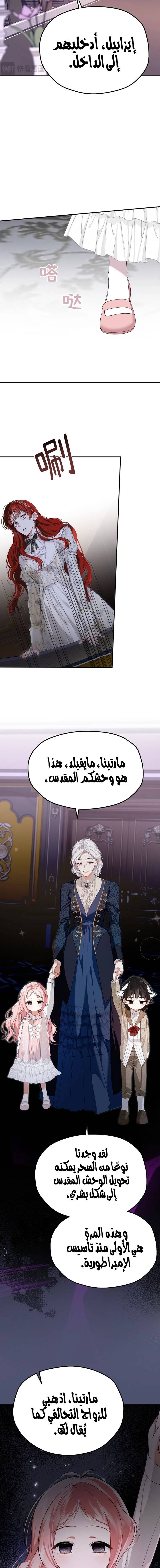 الصفحة 14