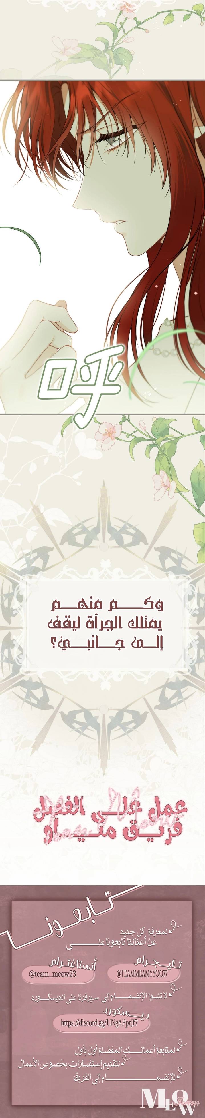 الصفحة 17