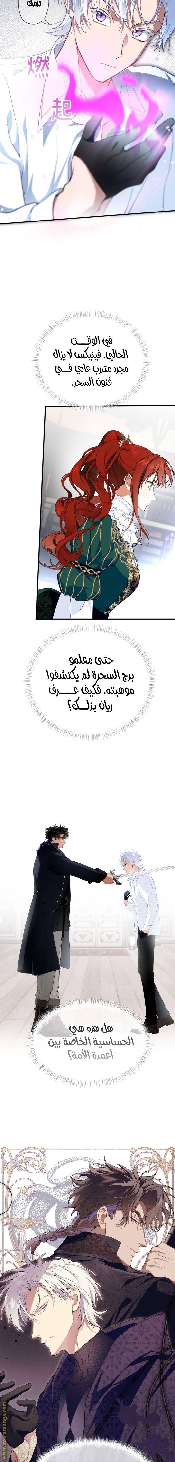 الصفحة 5
