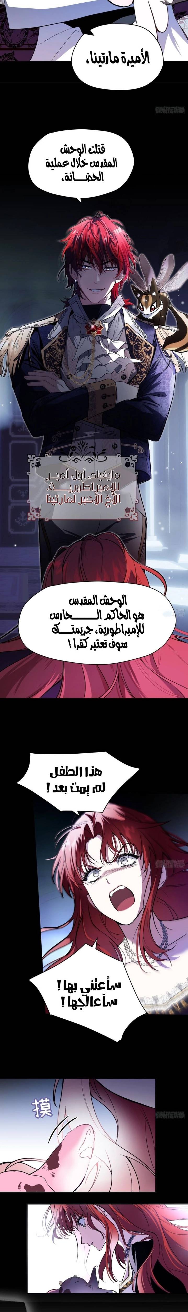 الصفحة 8