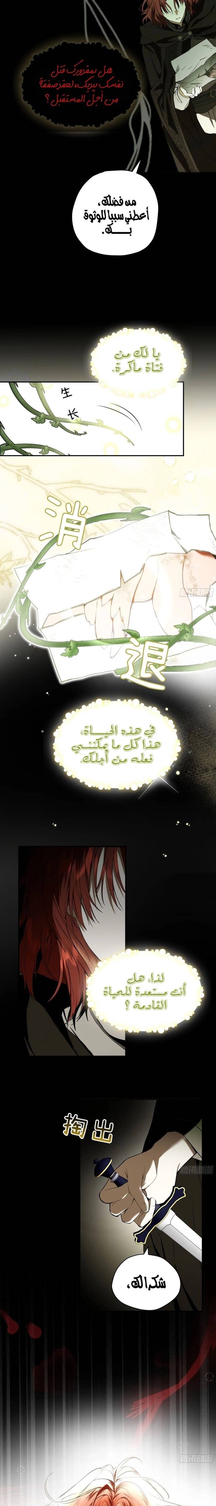 الصفحة 15
