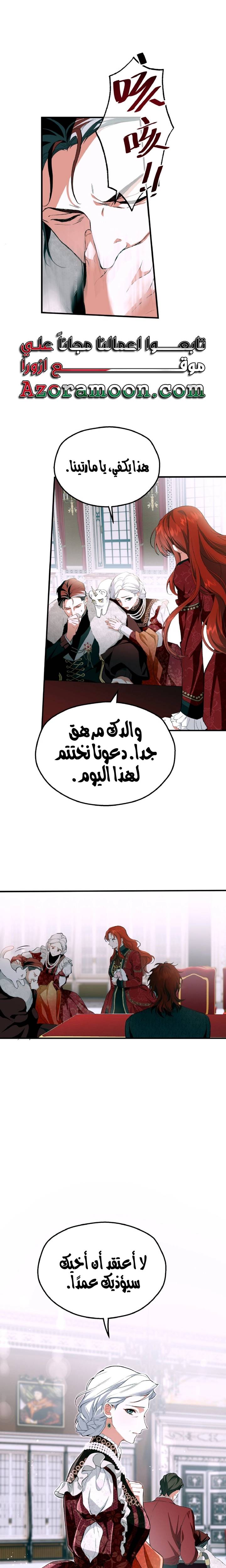 الصفحة 16