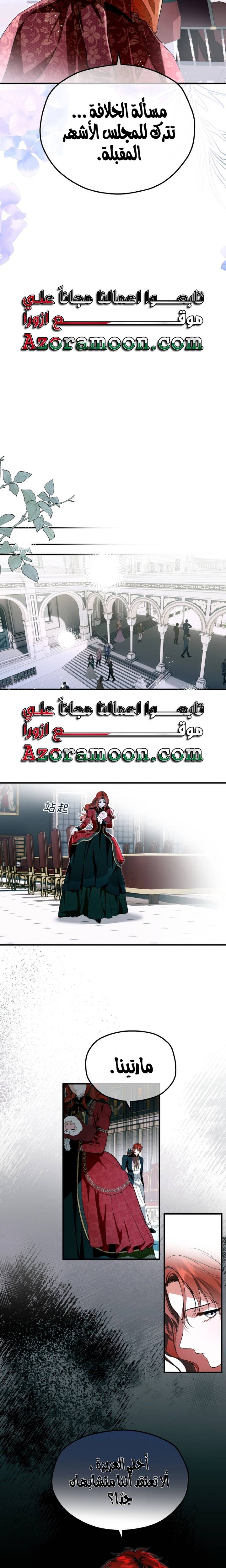 الصفحة 17