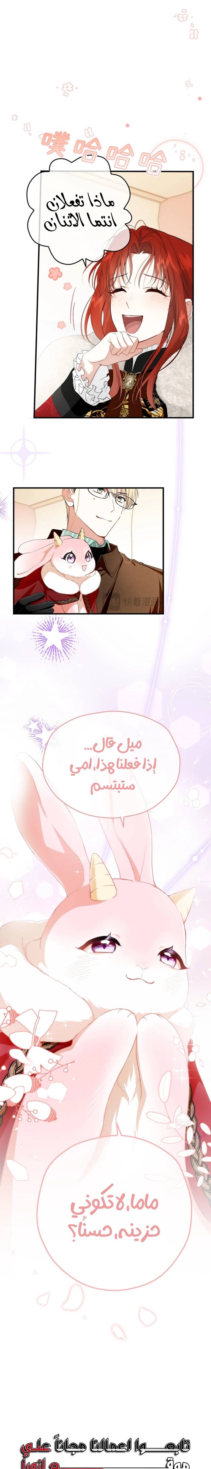 الصفحة 24