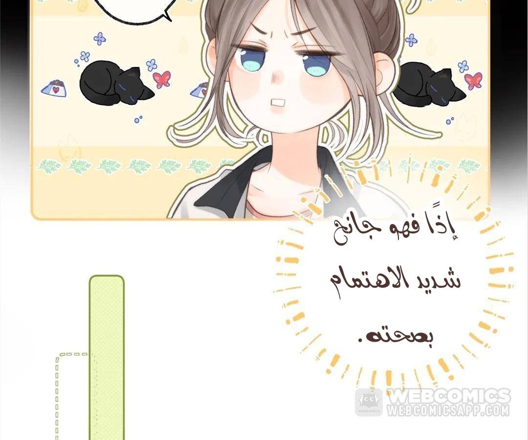 الصفحة 28