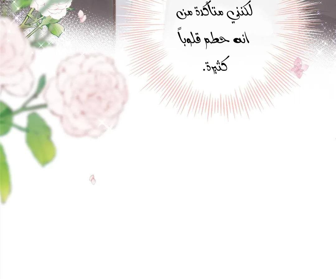الصفحة 38