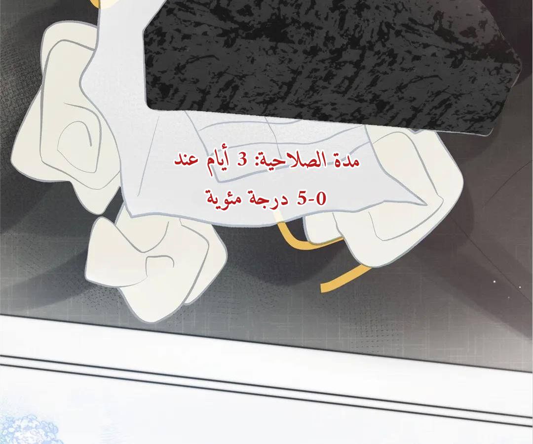الصفحة 89
