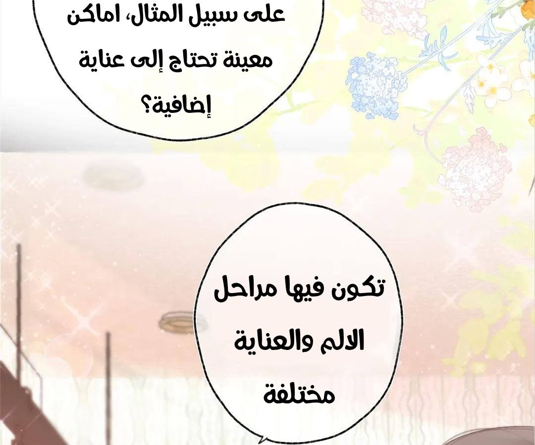 الصفحة 27