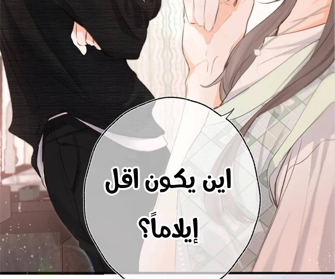 الصفحة 29