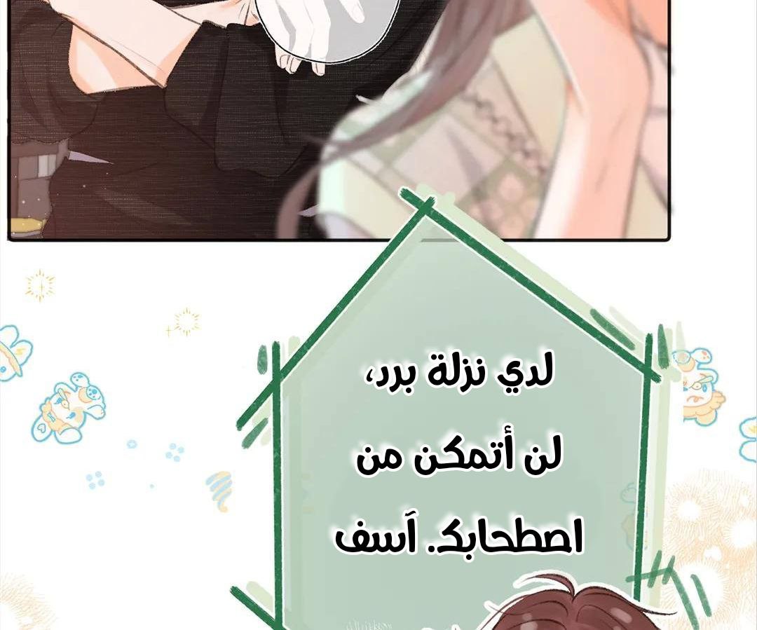 الصفحة 46