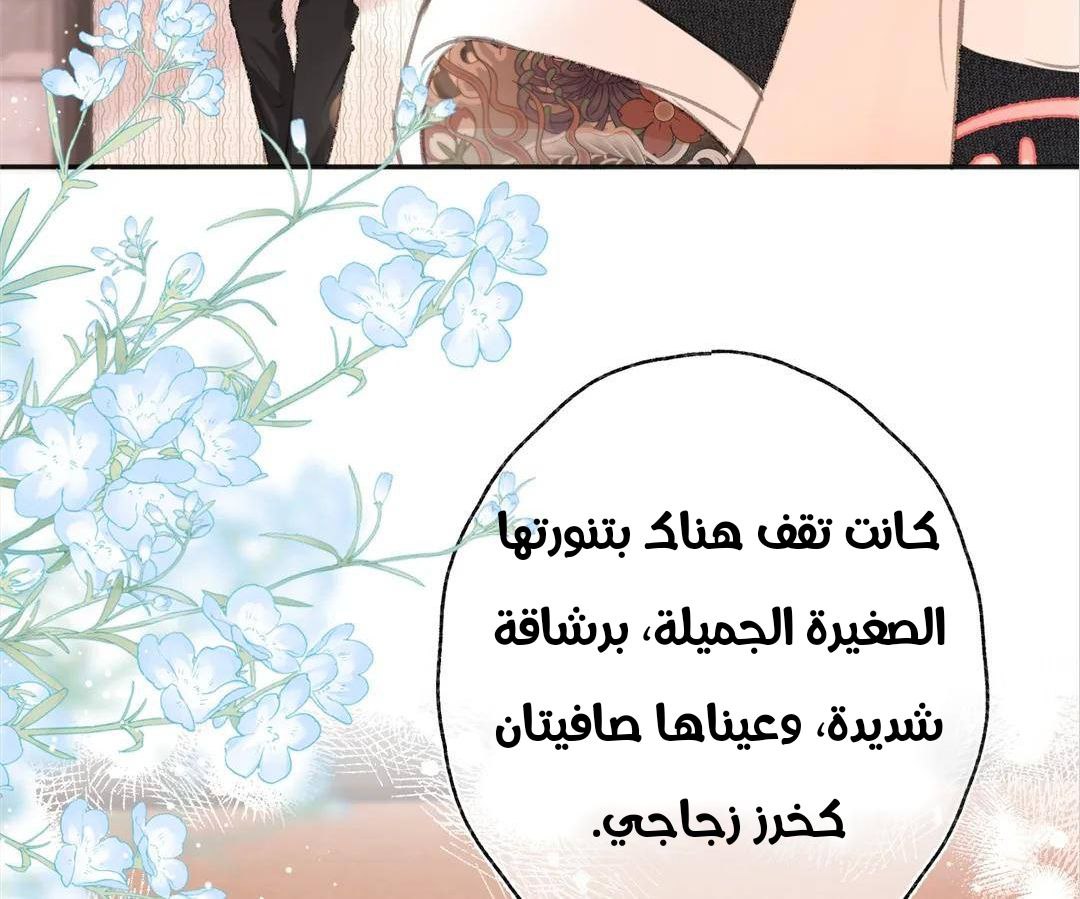 الصفحة 65