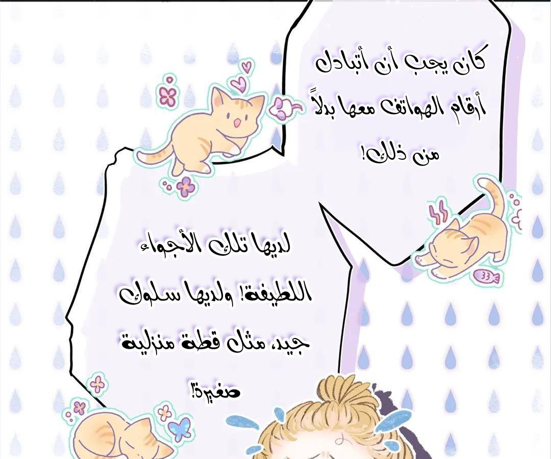 الصفحة 81