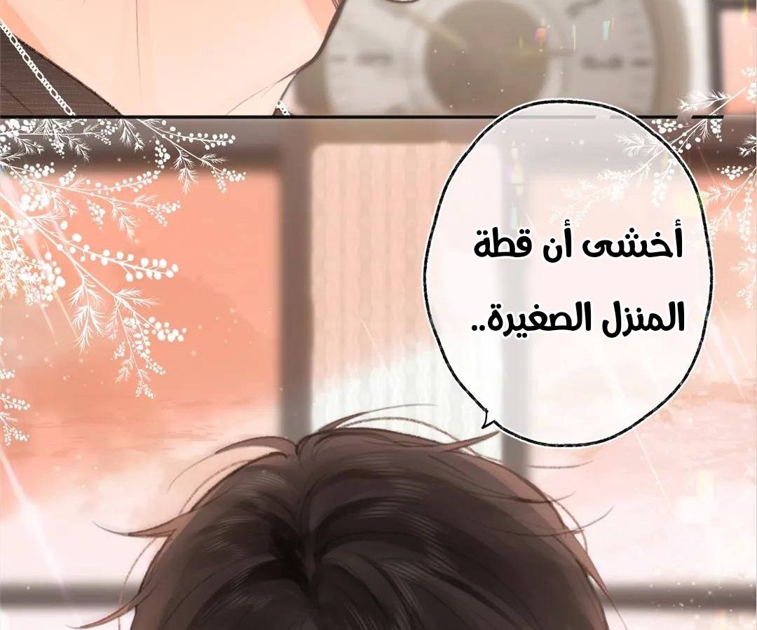الصفحة 85
