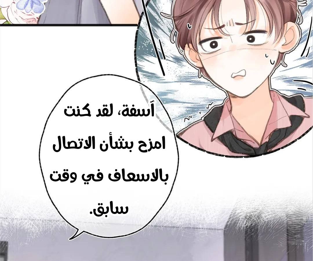 الصفحة 24