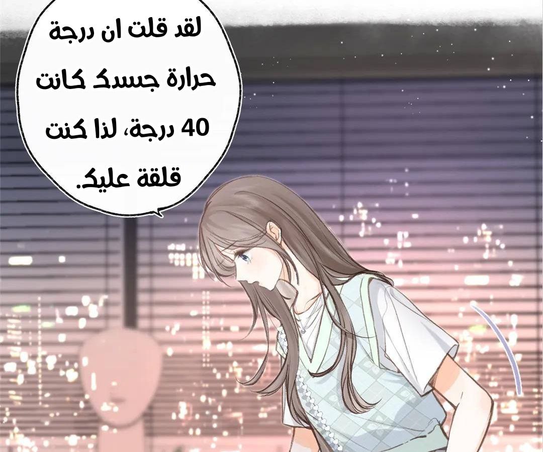 الصفحة 27