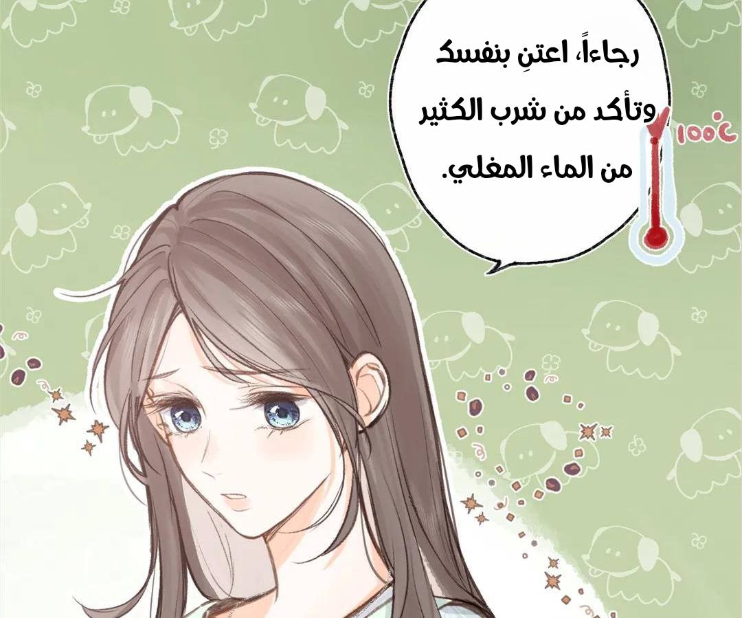 الصفحة 29