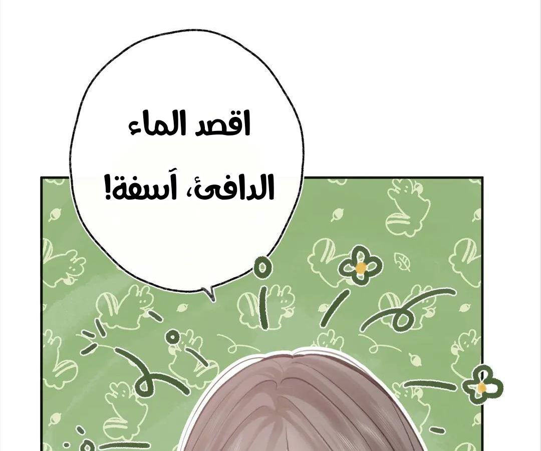 الصفحة 32